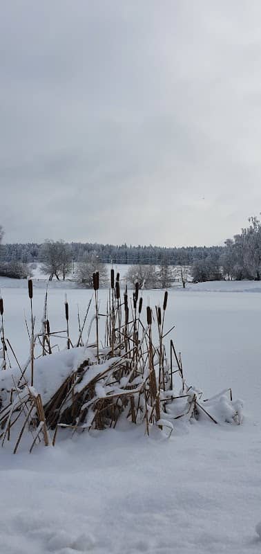 Großer Teich - Image 1