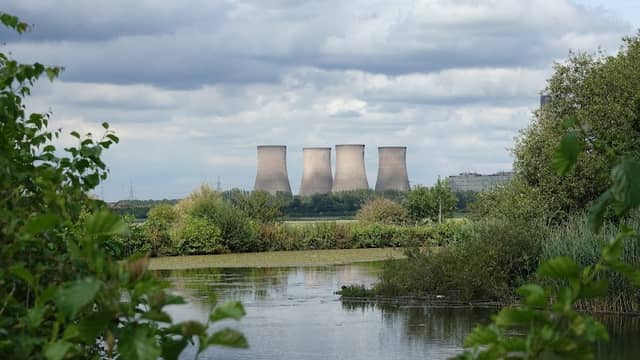 Wigg Island - Image 2