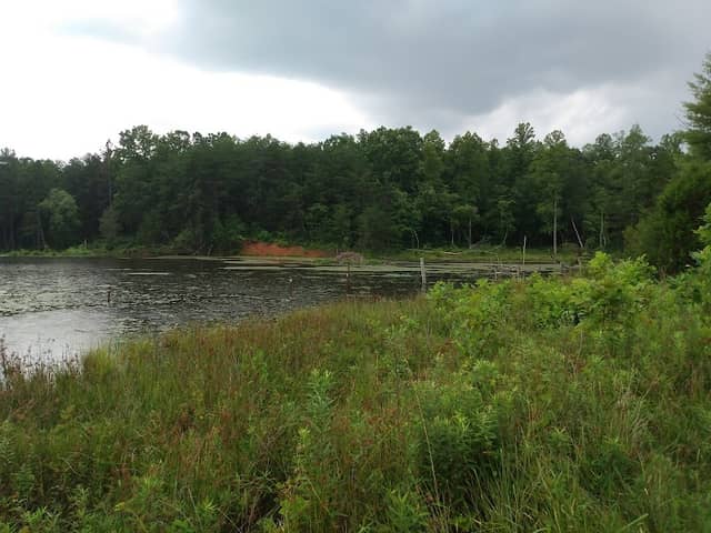 Countywide Park - Image 1