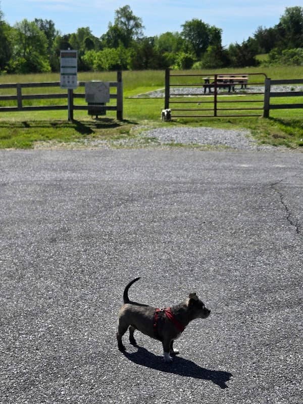 Countywide Park - Image 2