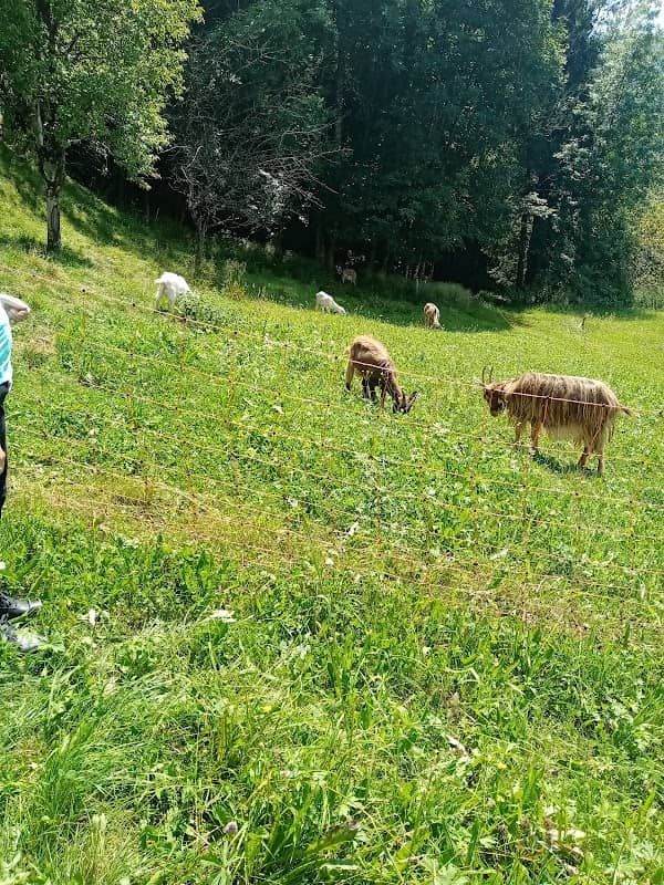 Nordic walking park LA PIAVE - SAN DONA' DI PIAVE - Image 1