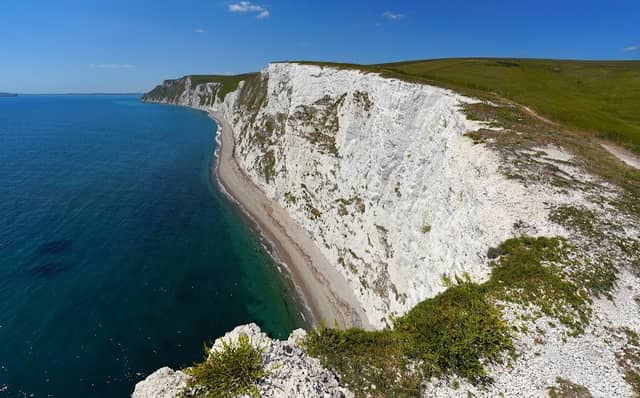 Bat's Head - Image 1