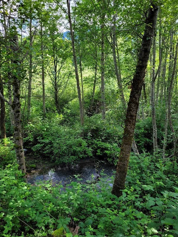New Si View Park - Image 1