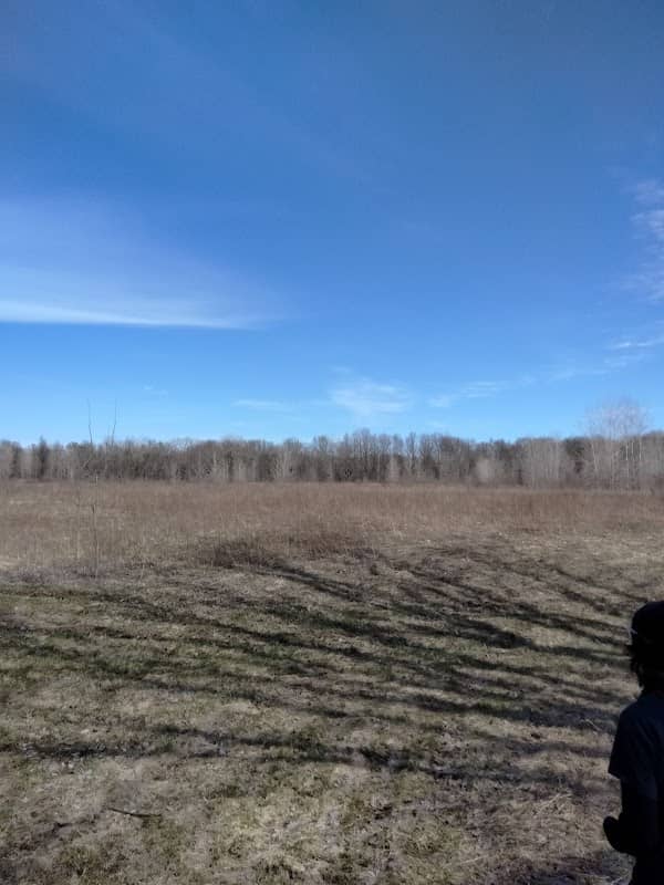 Gerrits Nature Sanctuary - Image 2