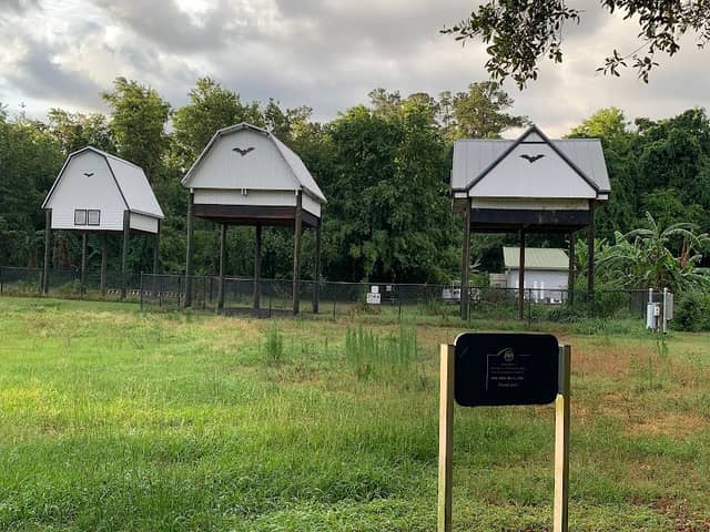 UF Bat Houses - Image 1