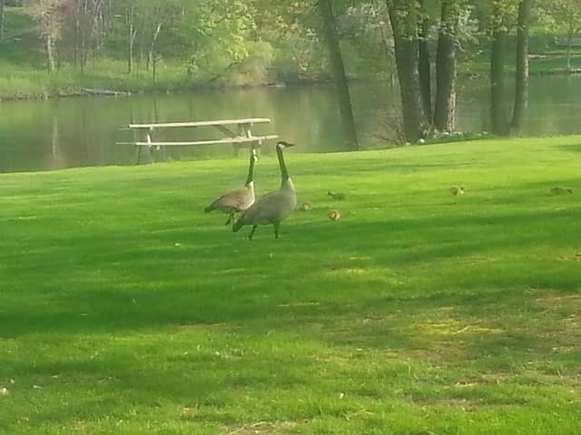 La Follette Park - Image 1
