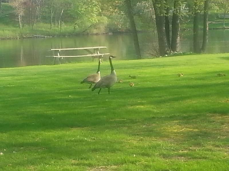 La Follette Park - Image 1