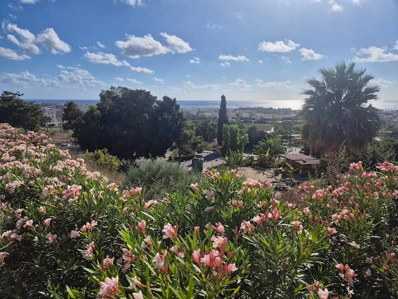 Paphos Overlook - Image 1