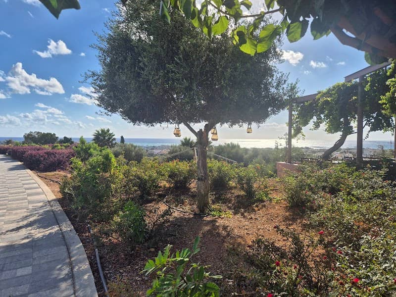 Paphos Overlook - Image 3