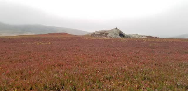 Duncans Point - Image 2
