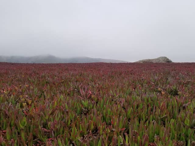 Duncans Point - Image 3