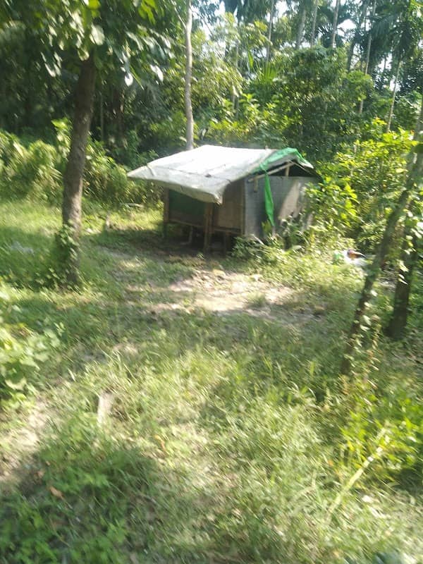 Chaines kunre - Image 2
