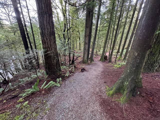 Hayward Reservoir Trail - Image 1
