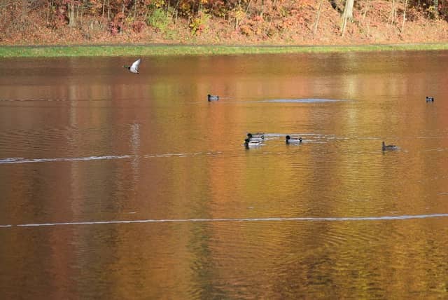 Holtzhauer Lake - Image 2