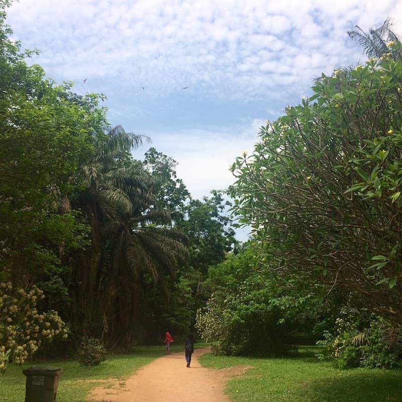 KNUST Botanical Garden - Image 1