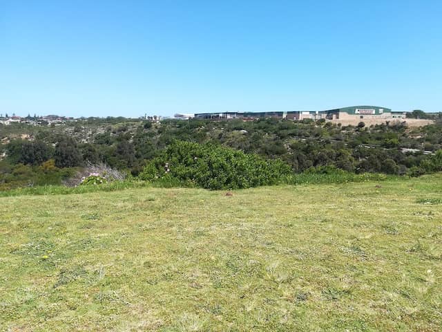 Newton Park Nature Reserve - Image 2