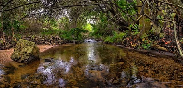 Newton Park Nature Reserve - Image 1
