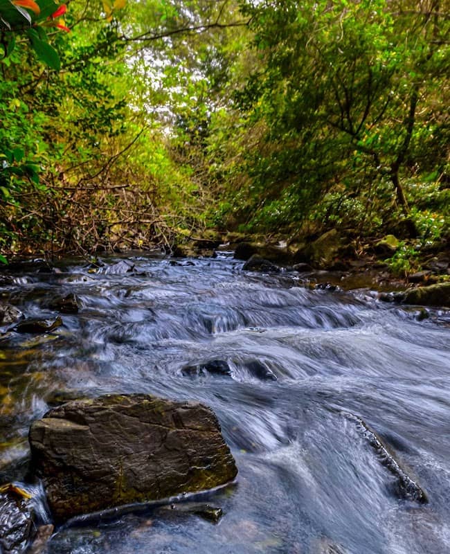 Newton Park Nature Reserve - Image 3