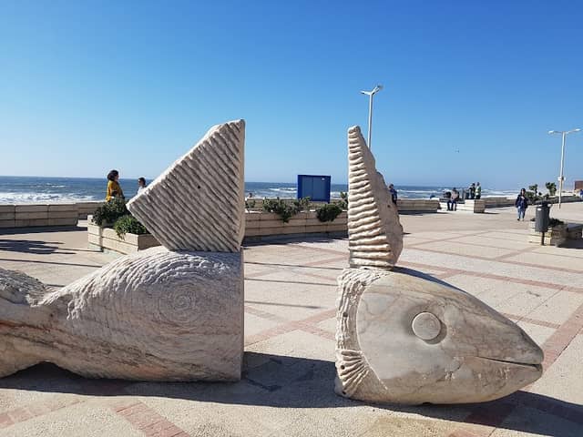 Praia do Furadouro - Image 1
