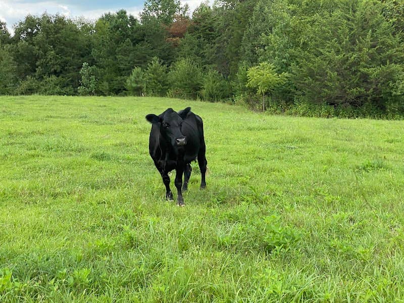 Hendricks Family Farm LLC - Image 2