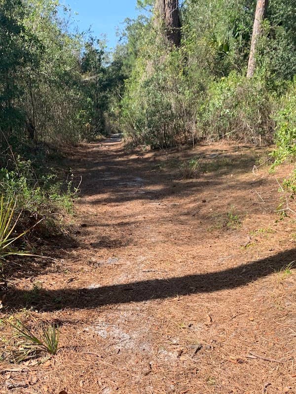 Cocoa Conservation Area - Image 1