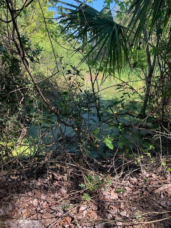Cocoa Conservation Area - Image 2
