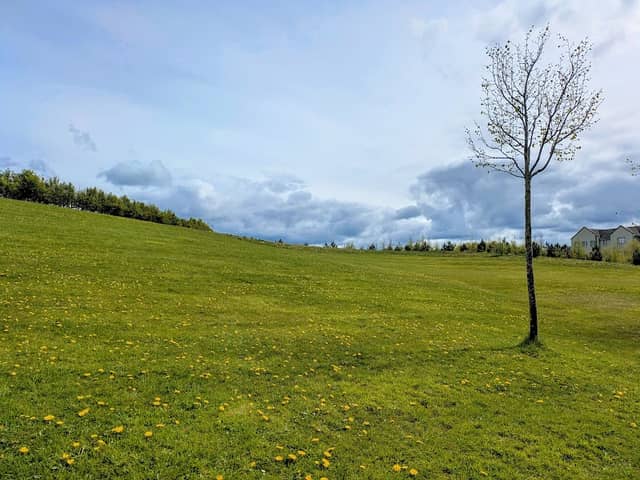 Kilminchy's Field - Image 1