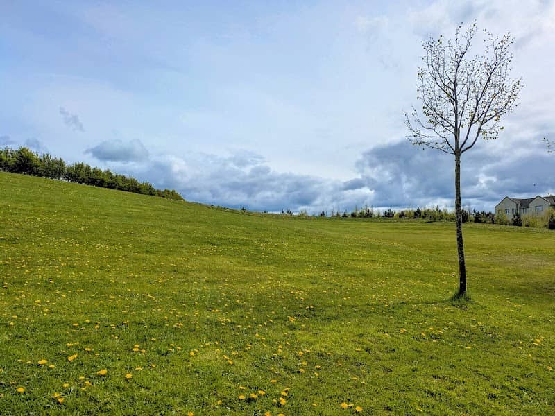 Kilminchy's Field - Image 1