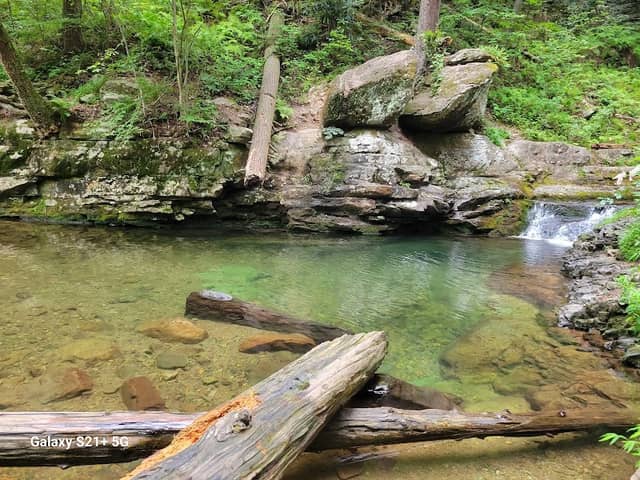 Dunnfield Creek Natural Area - Image 1