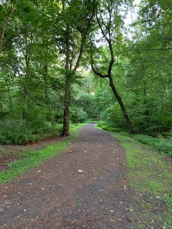Schmidts Woods Park - Image 2