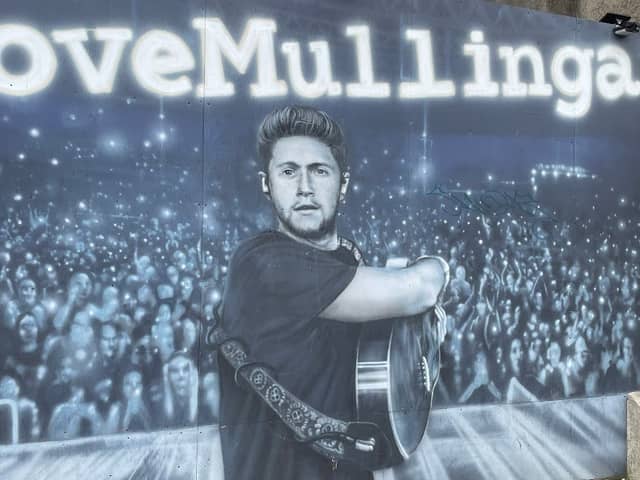Niall Horan’s Love Mullingar Mural - Image 2
