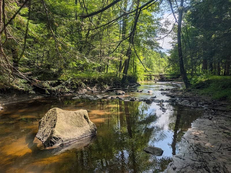 Mill Brook Preserve South Trailhead - Image 1