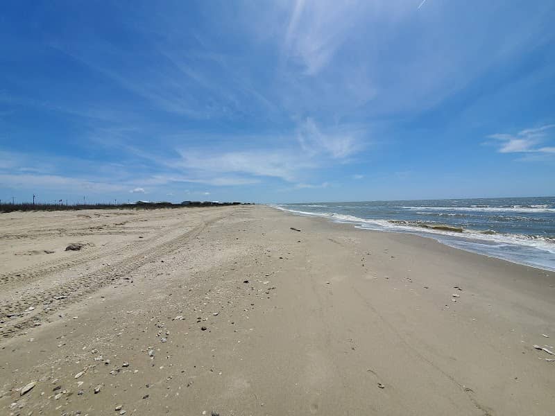 The Beach - Image 1
