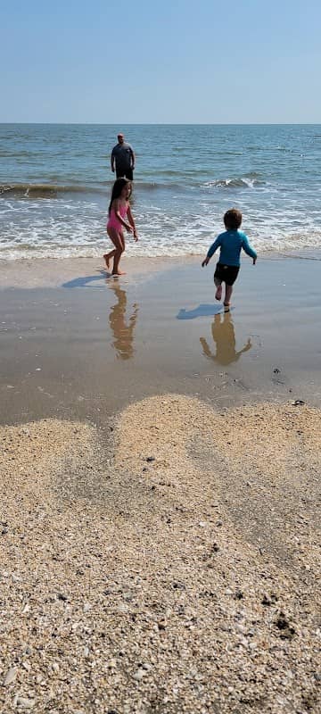 The Beach - Image 2