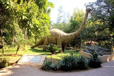 Indroda Zoo - Image 1