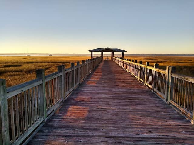 Tilden Norris Marsh Walk and Pavilion - Image 2