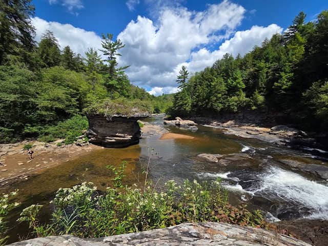 Swallow Falls Natural Area - Image 1