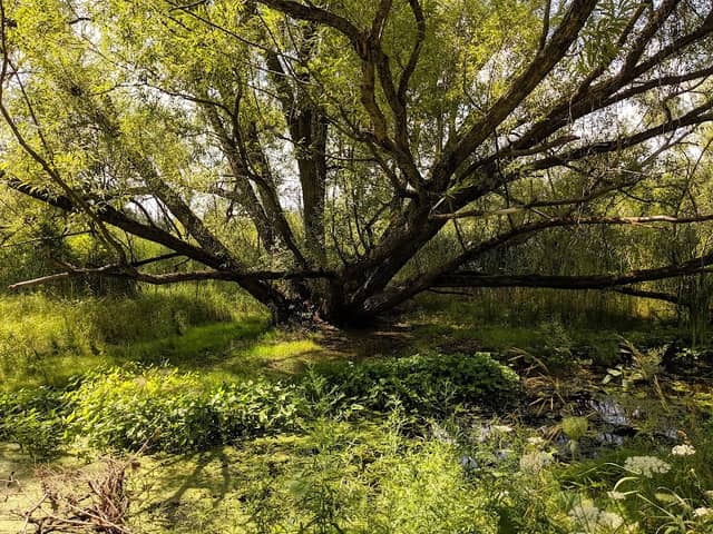 Shantz Park - Image 1