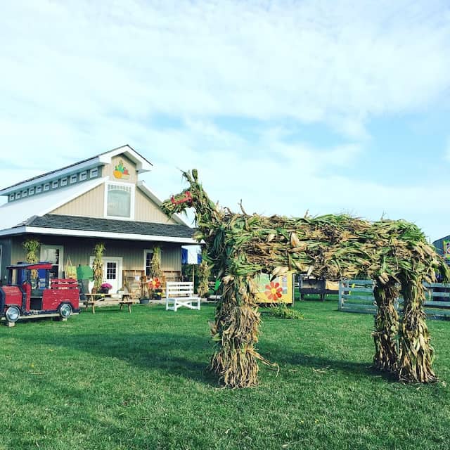 Farmers Pantry - Image 1