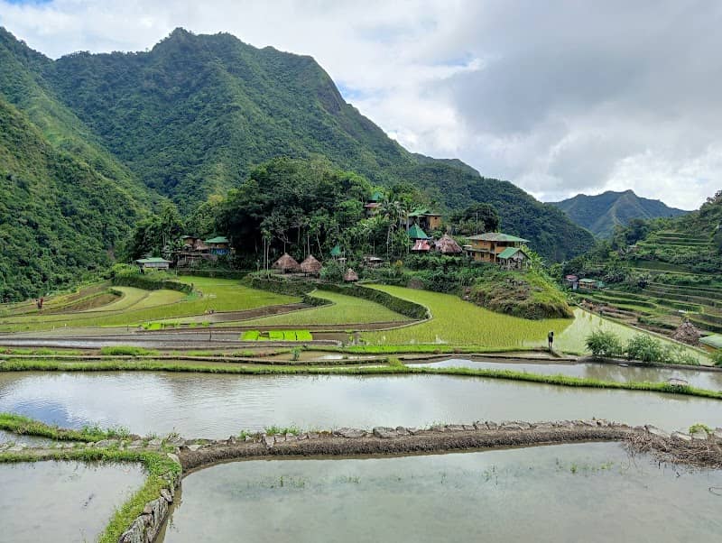 Ifugao Rice Terraces Monument - Image 1