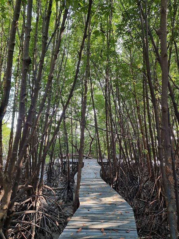 ทางเข้าศูนย์การเรียนรู้ป่าชายเลนฯ ติดวัดปากน้ำสมุทรคงคาราม - Image 1