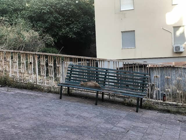 Panchine di Agrigento - Image 1