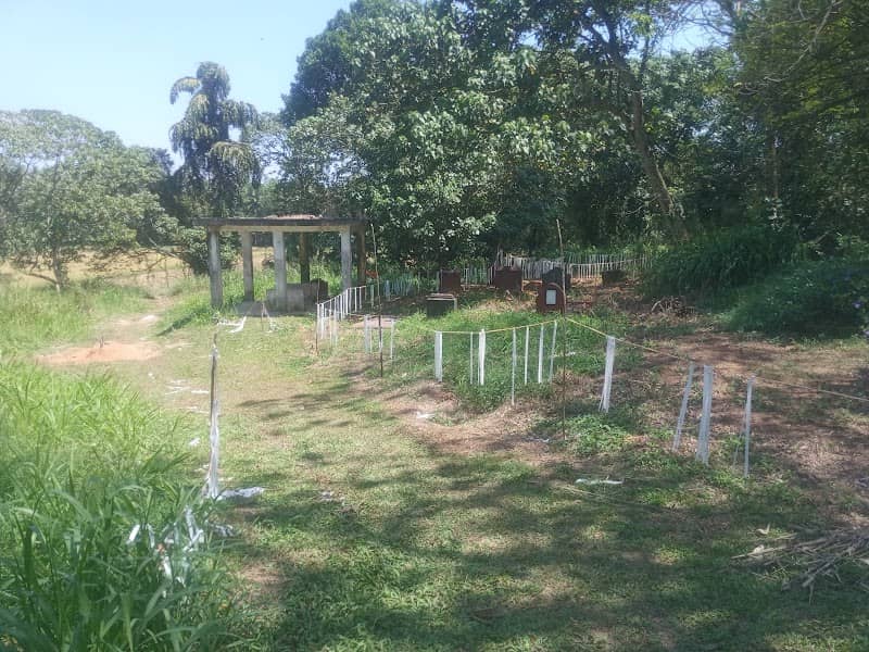 මිරිස්වත්ත හේන සුසාන භූමිය - Image 1