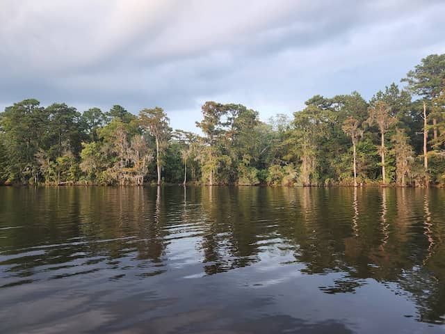 Gatlin Beach - Image 1