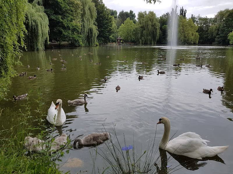 City park - Image 1