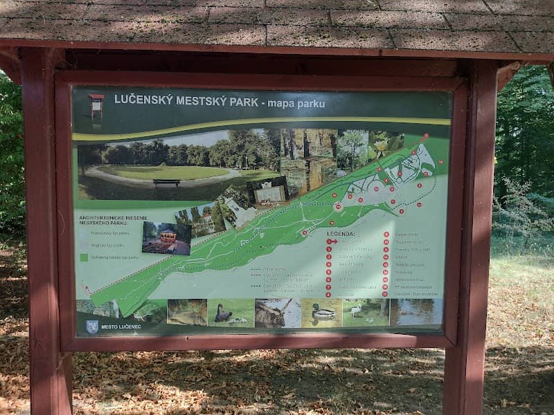 City park - Image 2