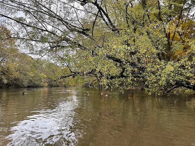 Mahoning River - Image 1
