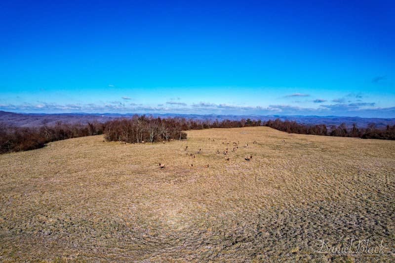 Hatfield Knob Viewing Tower - Image 1