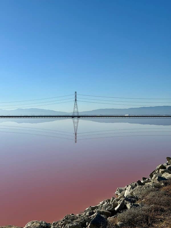 Alameda Salt Ponds - Image 2