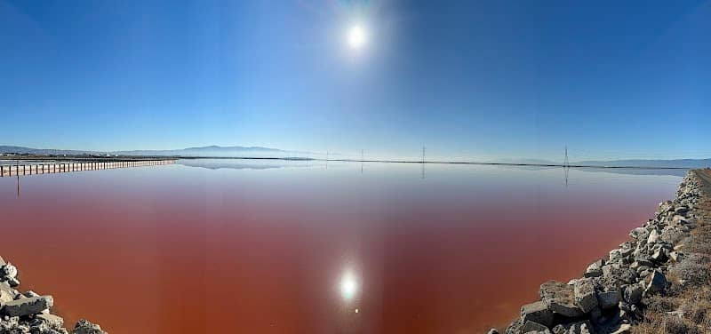 Alameda Salt Ponds - Image 3